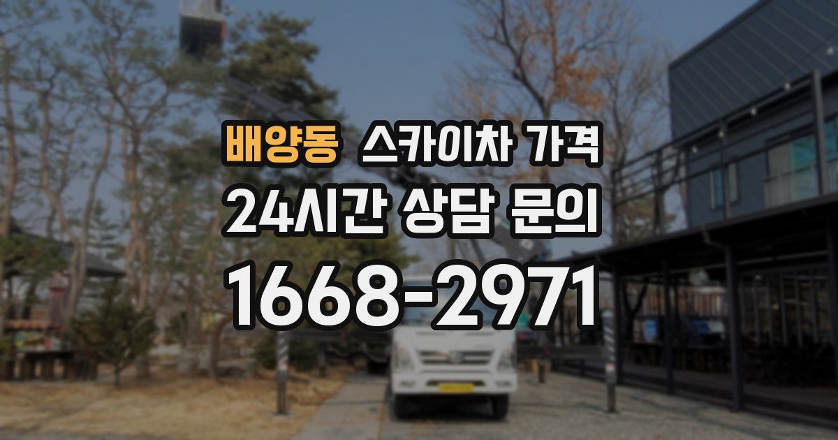 배양동 스카이차 가격