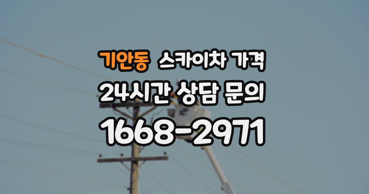 기안동 스카이차 가격