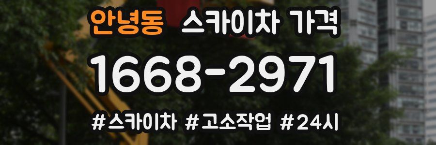 안녕동 스카이차 가격