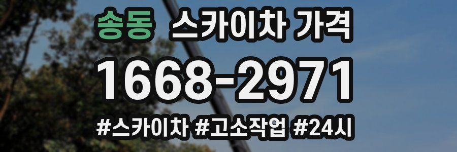 송동 스카이차 가격