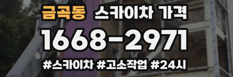 금곡동 스카이차 가격