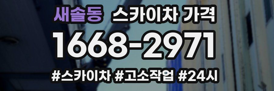 새솔동 스카이차 가격