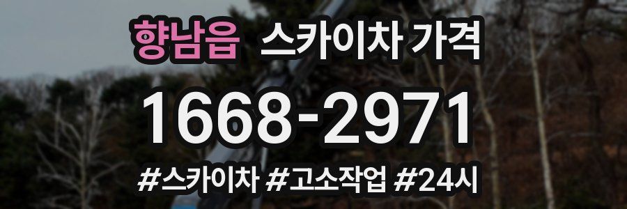 향남읍 스카이차 가격