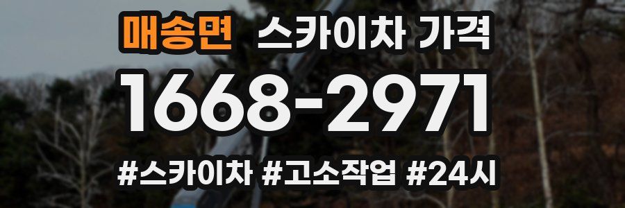 매송면 스카이차 가격