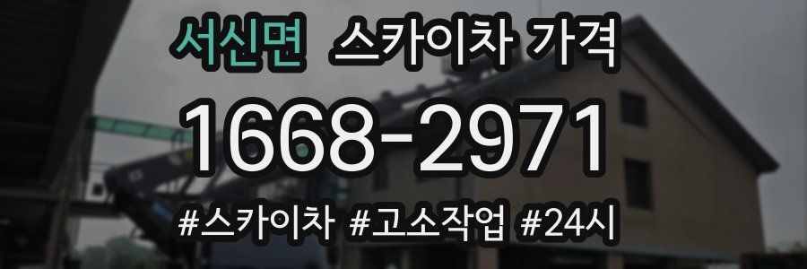 서신면 스카이차 가격