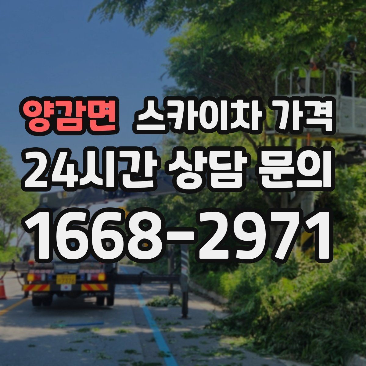 양감면 스카이차 가격 보행자 통행이 많으면 고려할 점