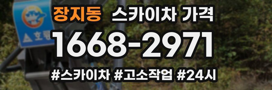 장지동 스카이차 가격