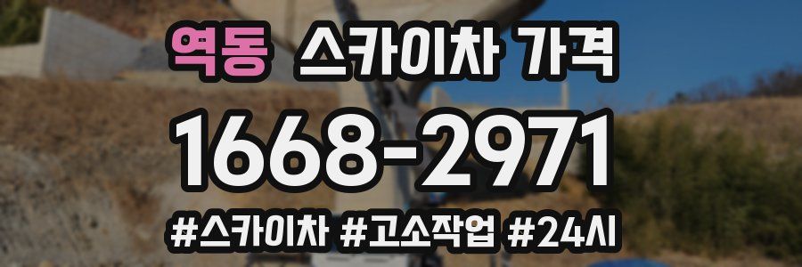 역동 스카이차 가격