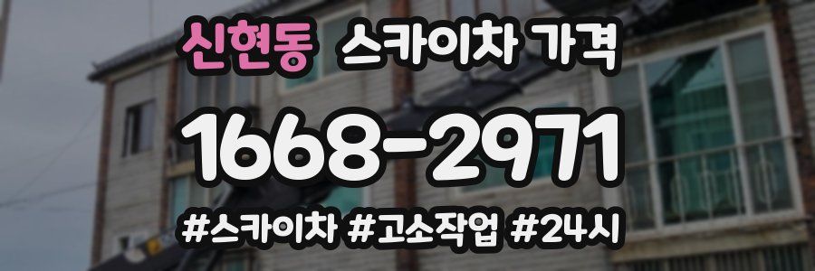 신현동 스카이차 가격