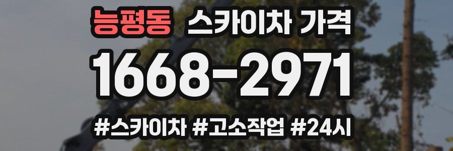 능평동 스카이차 가격