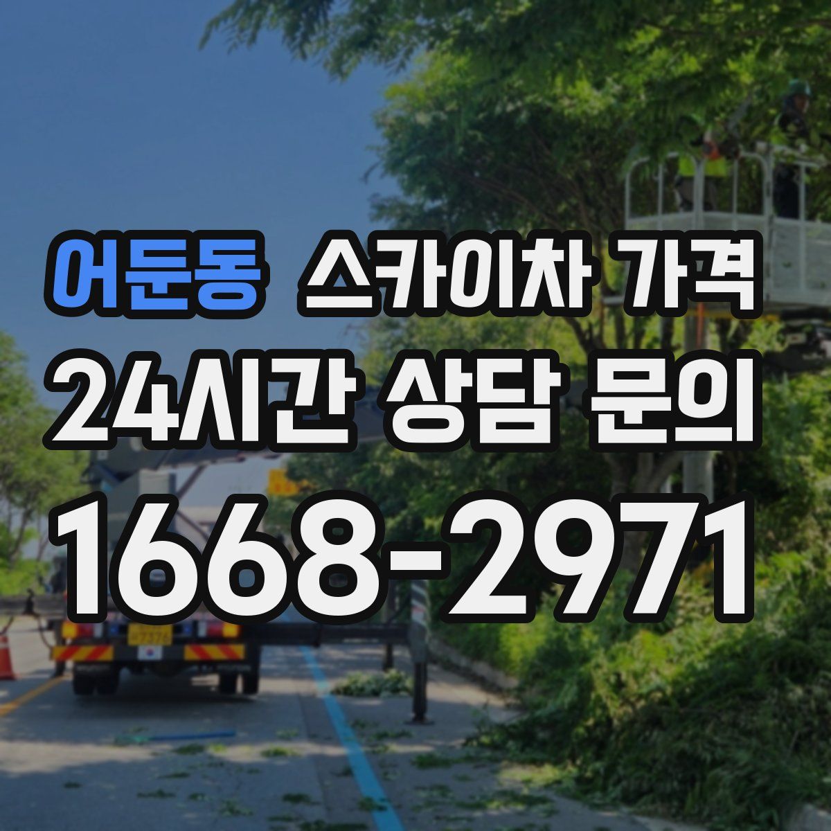 어둔동 스카이차 가격