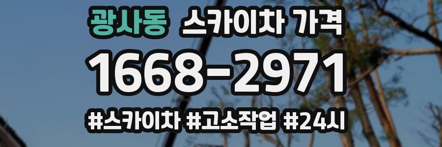 광사동 스카이차 가격