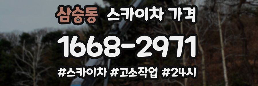 삼숭동 스카이차 가격