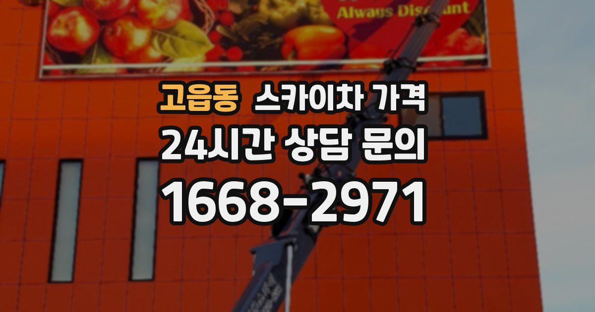 고읍동 스카이차 가격