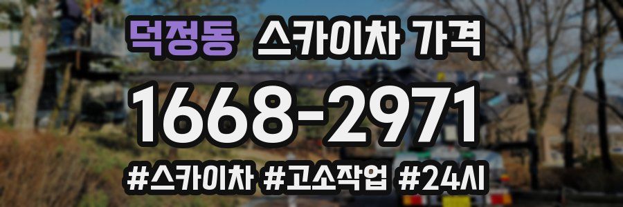 덕정동 스카이차 가격