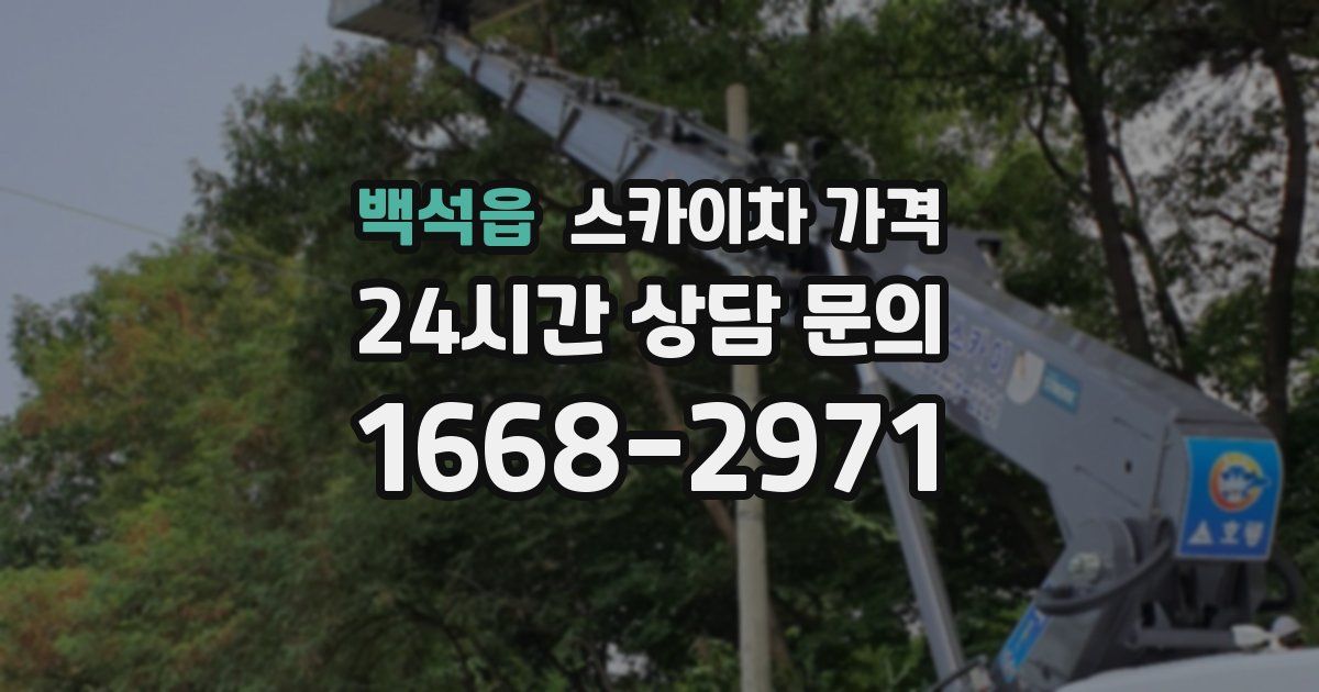 백석읍 스카이차 가격