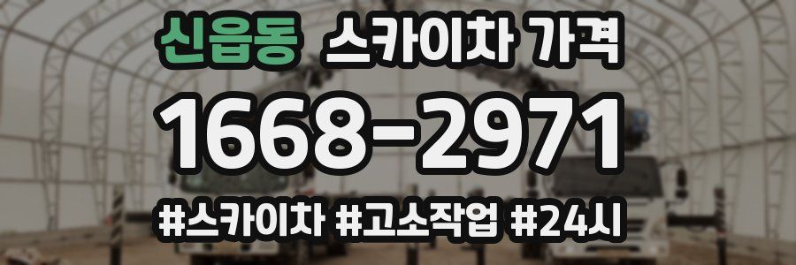 신읍동 스카이차 가격