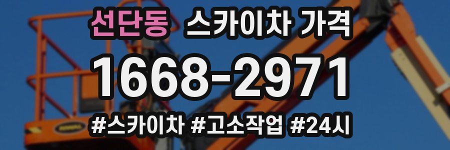 선단동 스카이차 가격