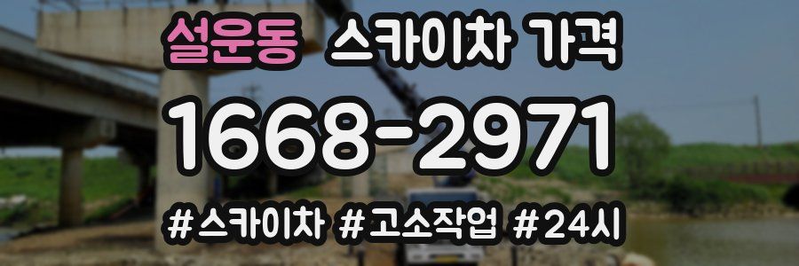 설운동 스카이차 가격