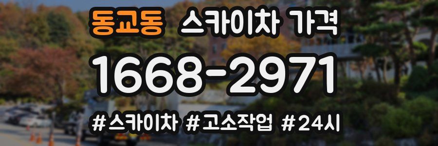 동교동 스카이차 가격