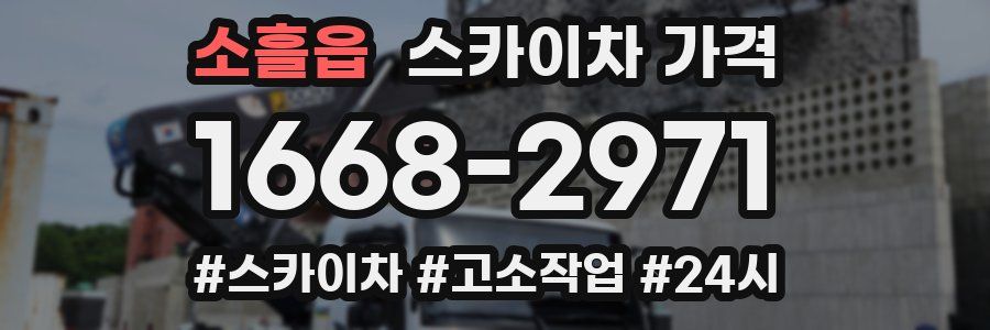 소흘읍 스카이차 가격