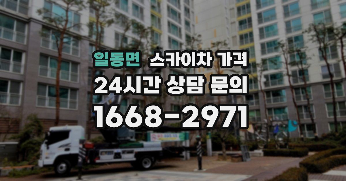 일동면 스카이차 가격