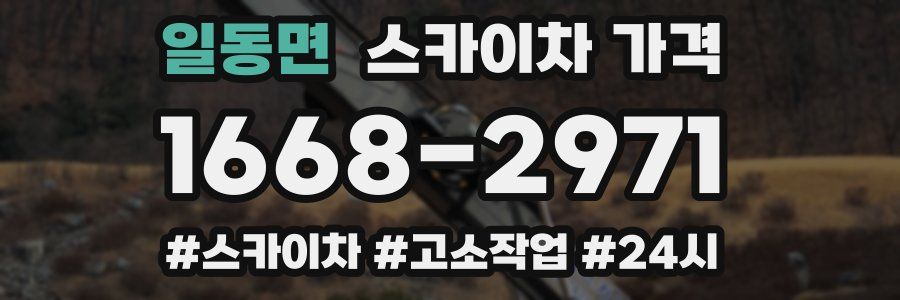 일동면 스카이차 가격