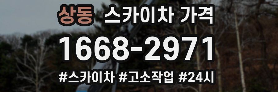 상동 스카이차 가격