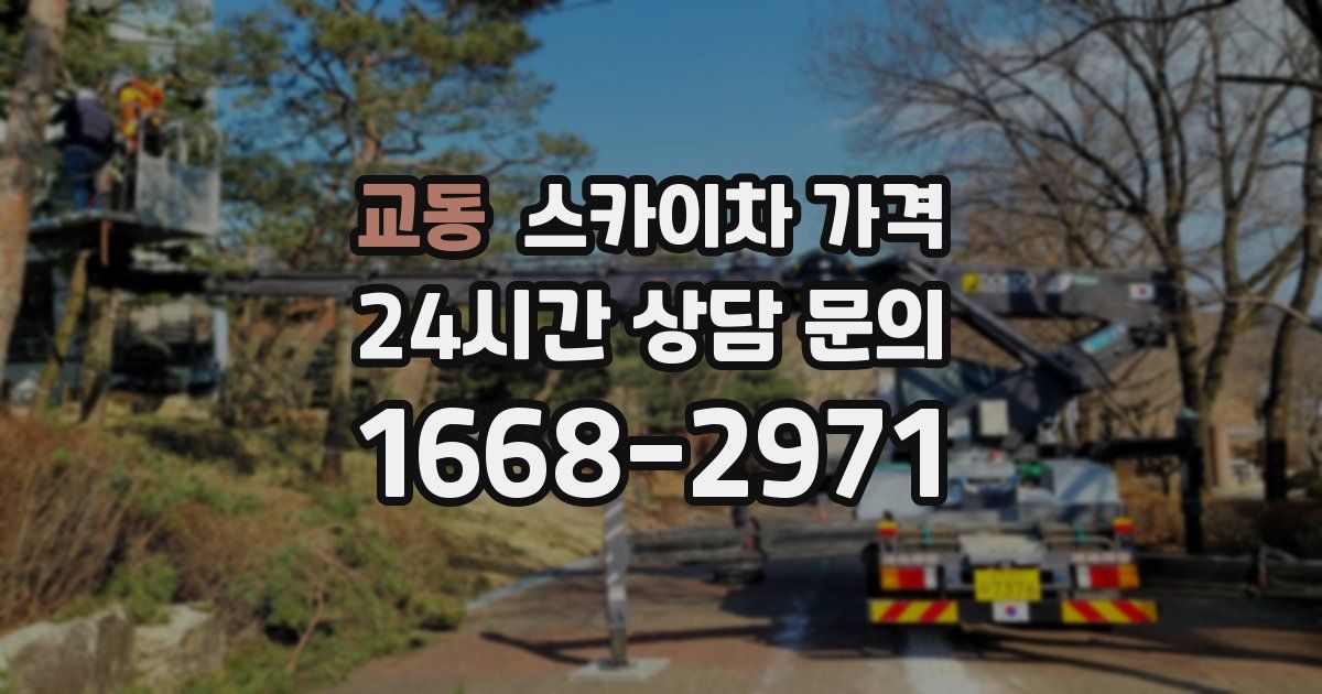 교동 스카이차 가격
