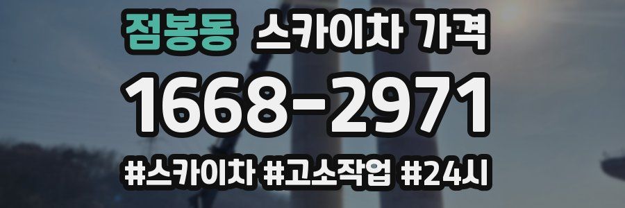 점봉동 스카이차 가격