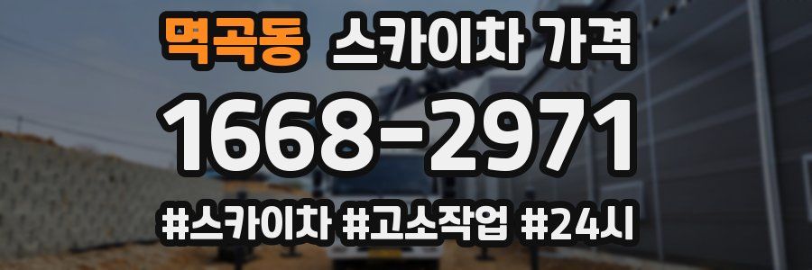 멱곡동 스카이차 가격