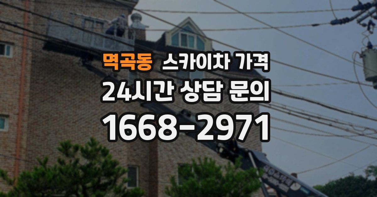 멱곡동 스카이차 가격