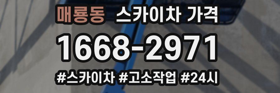 매룡동 스카이차 가격