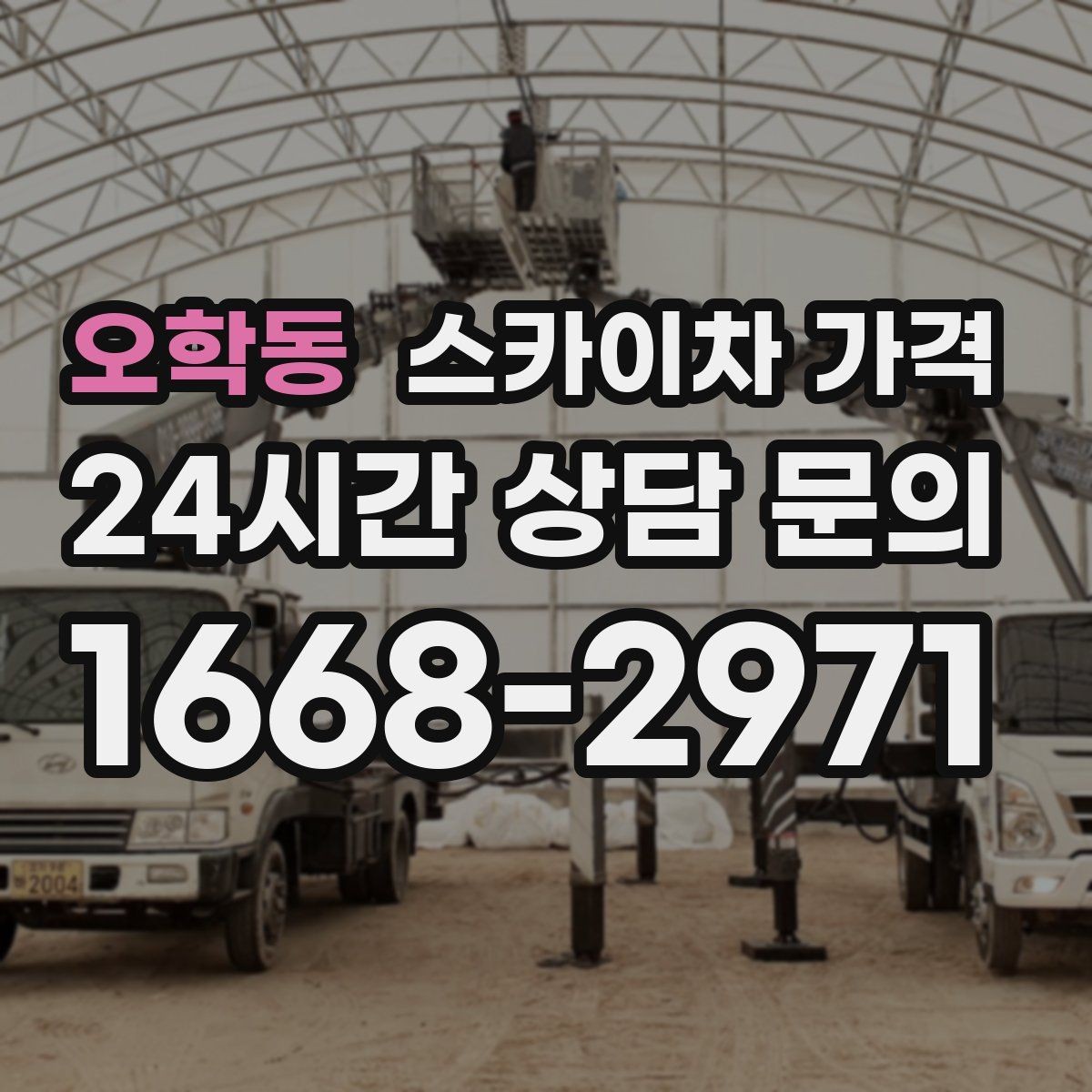 오학동 스카이차 가격 가로수·간판·전선이 동선을 막을 때