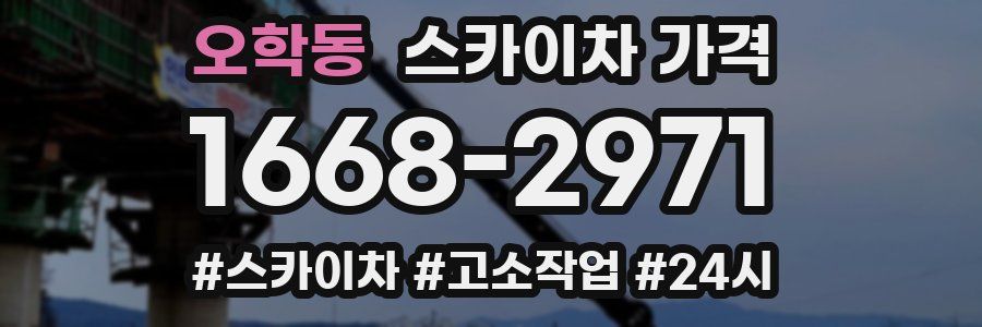 오학동 스카이차 가격