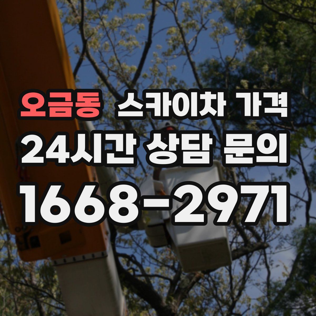 오금동 스카이차 가격