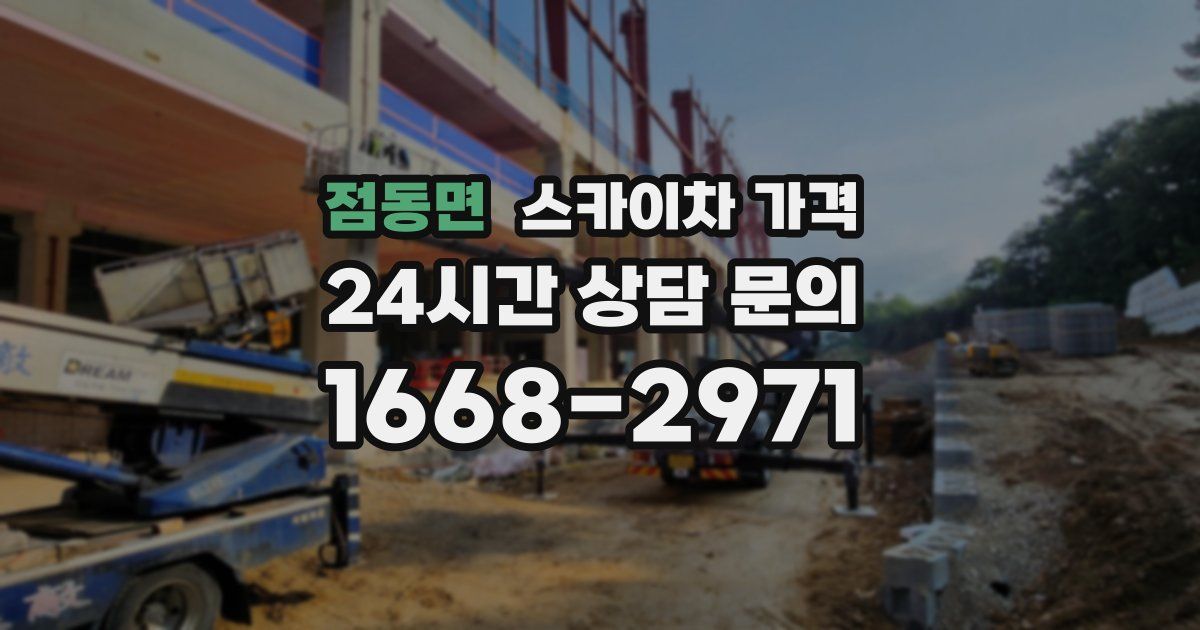 점동면 스카이차 가격