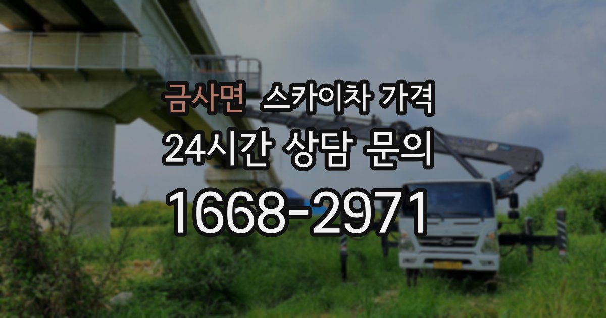 금사면 스카이차 가격