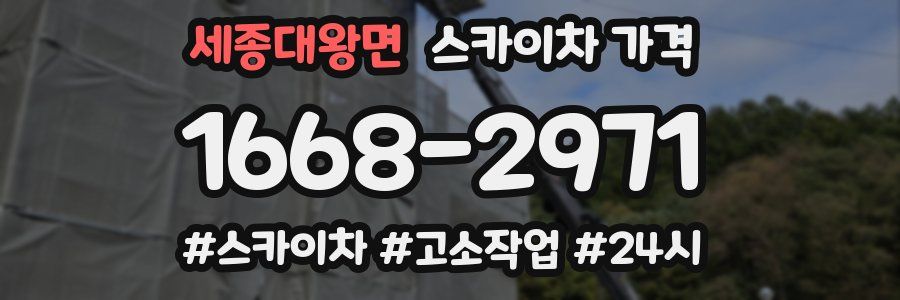 세종대왕면 스카이차 가격