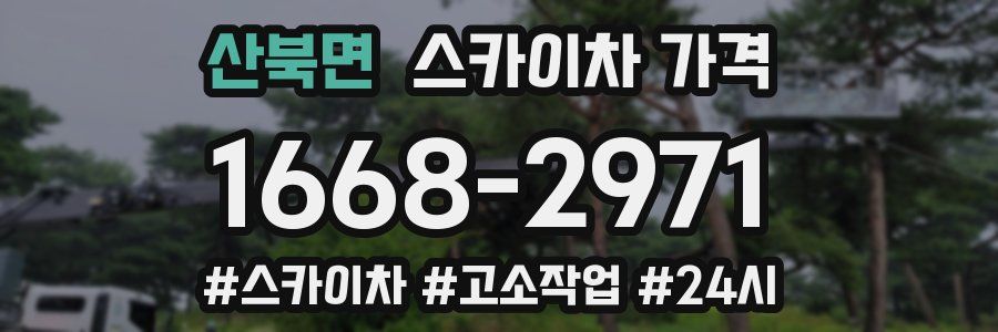 산북면 스카이차 가격