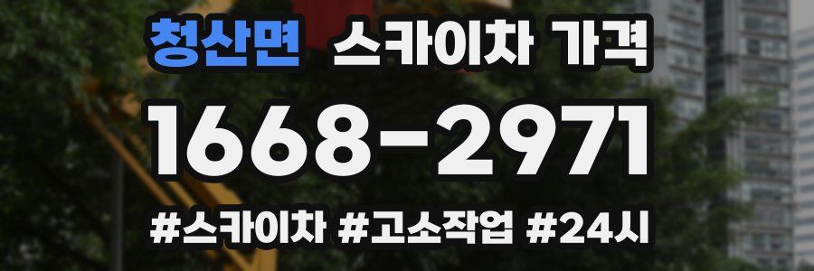 청산면 스카이차 가격