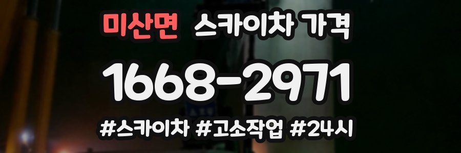 미산면 스카이차 가격