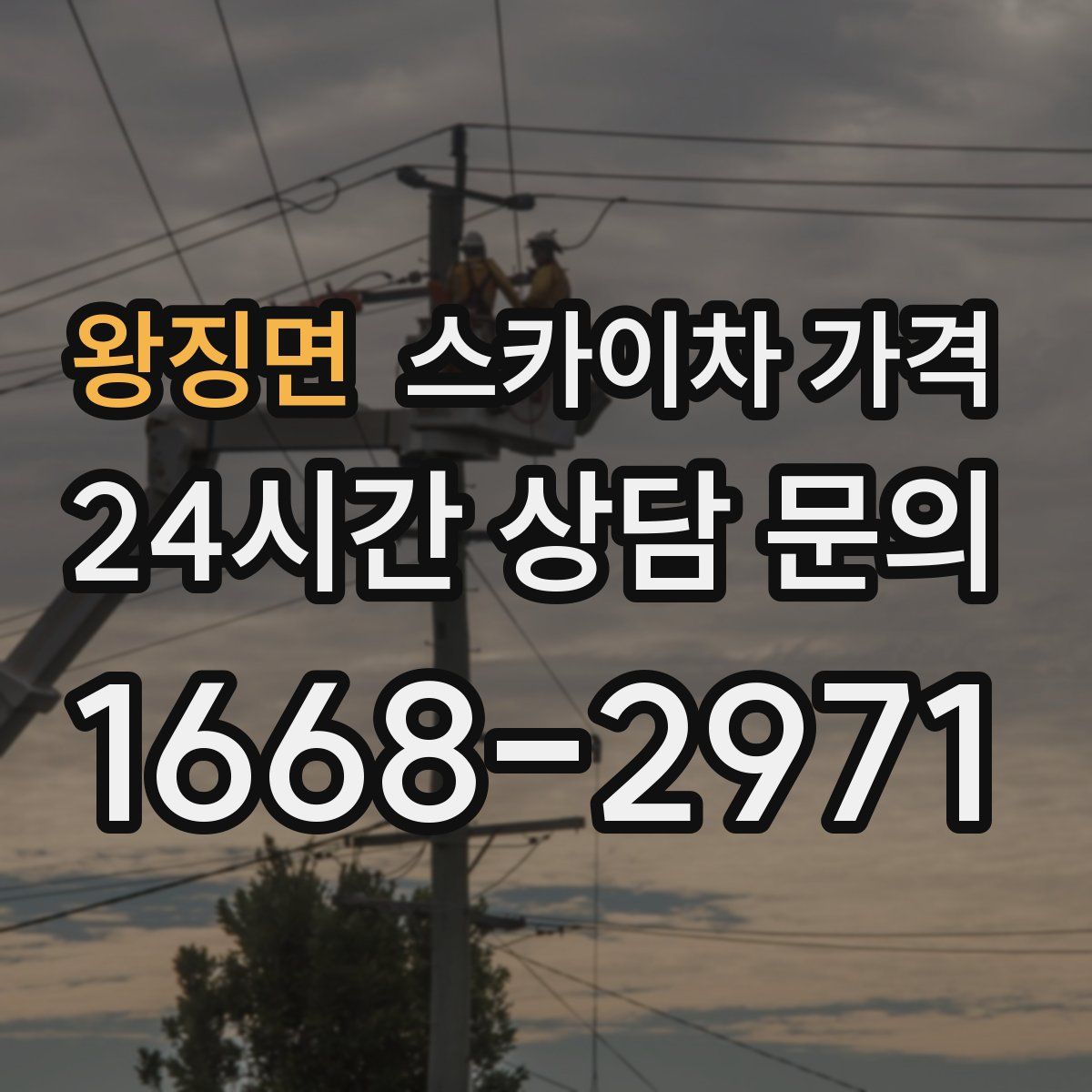 왕징면 스카이차 가격