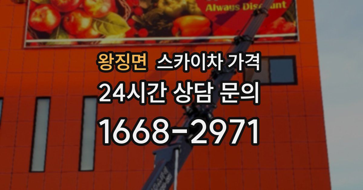 왕징면 스카이차 가격