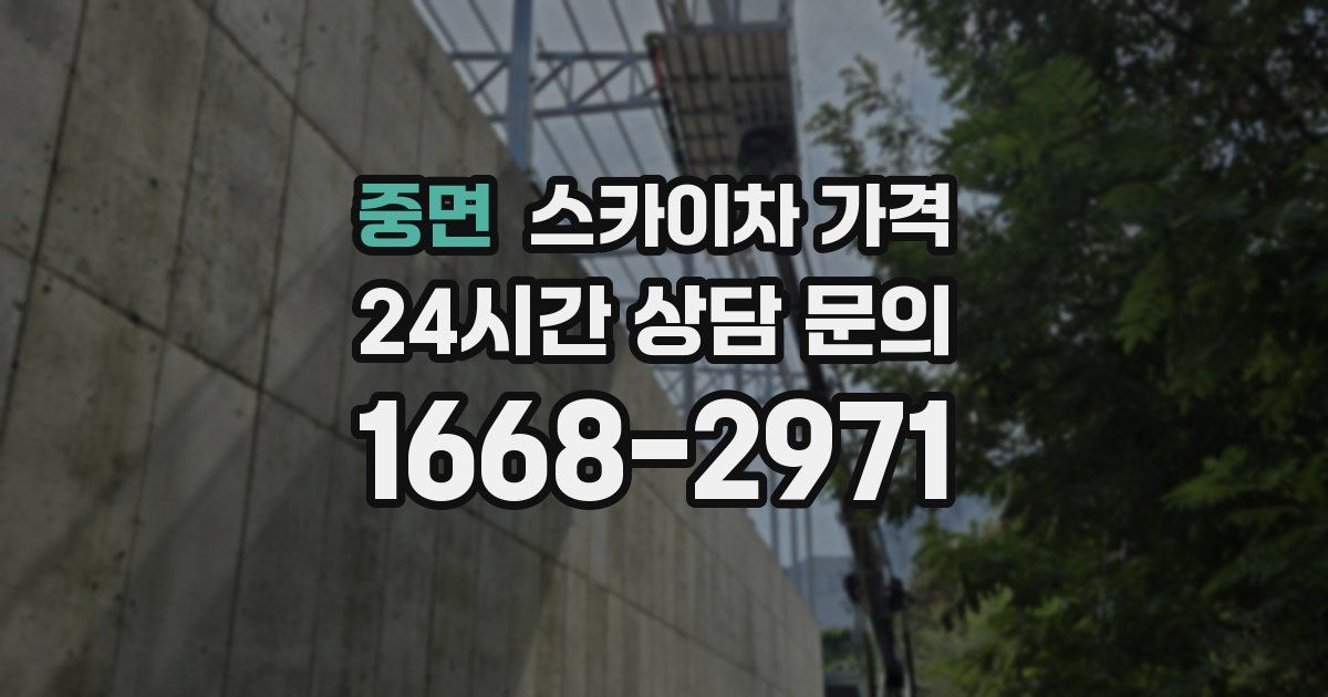 중면 스카이차 가격