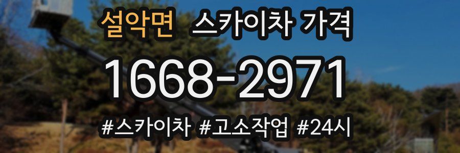 설악면 스카이차 가격