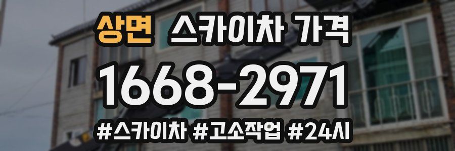 상면 스카이차 가격