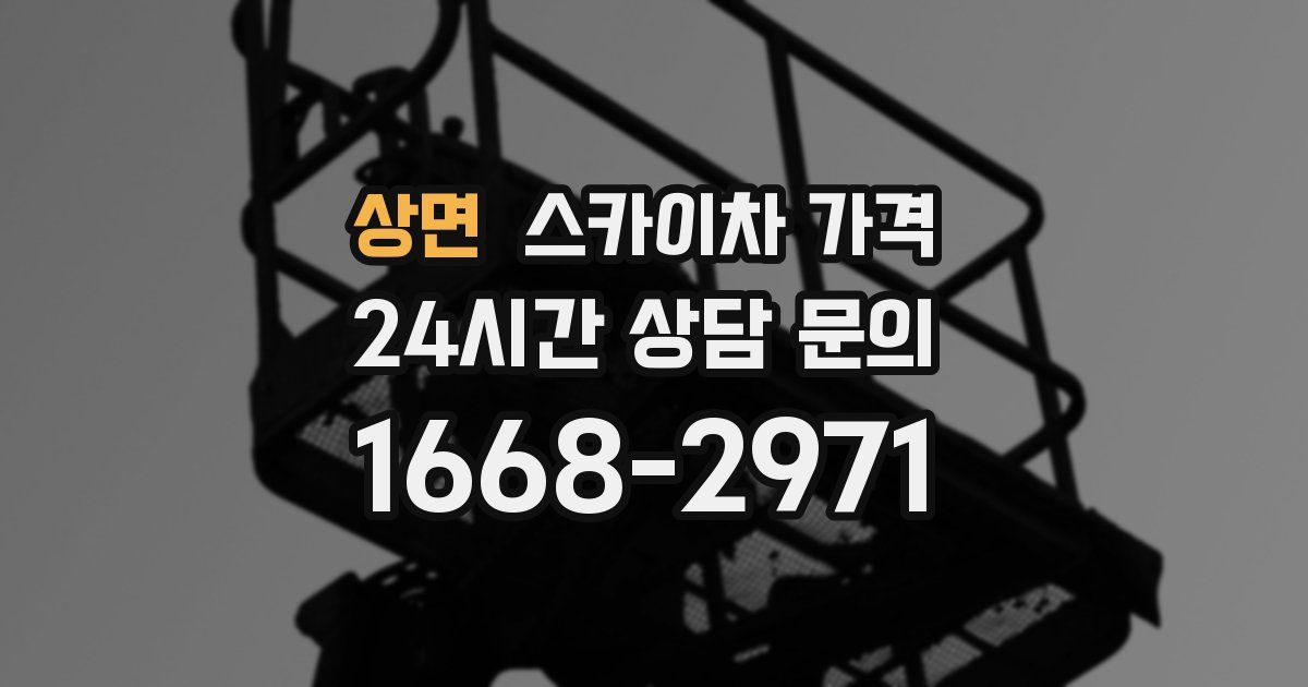 상면 스카이차 가격