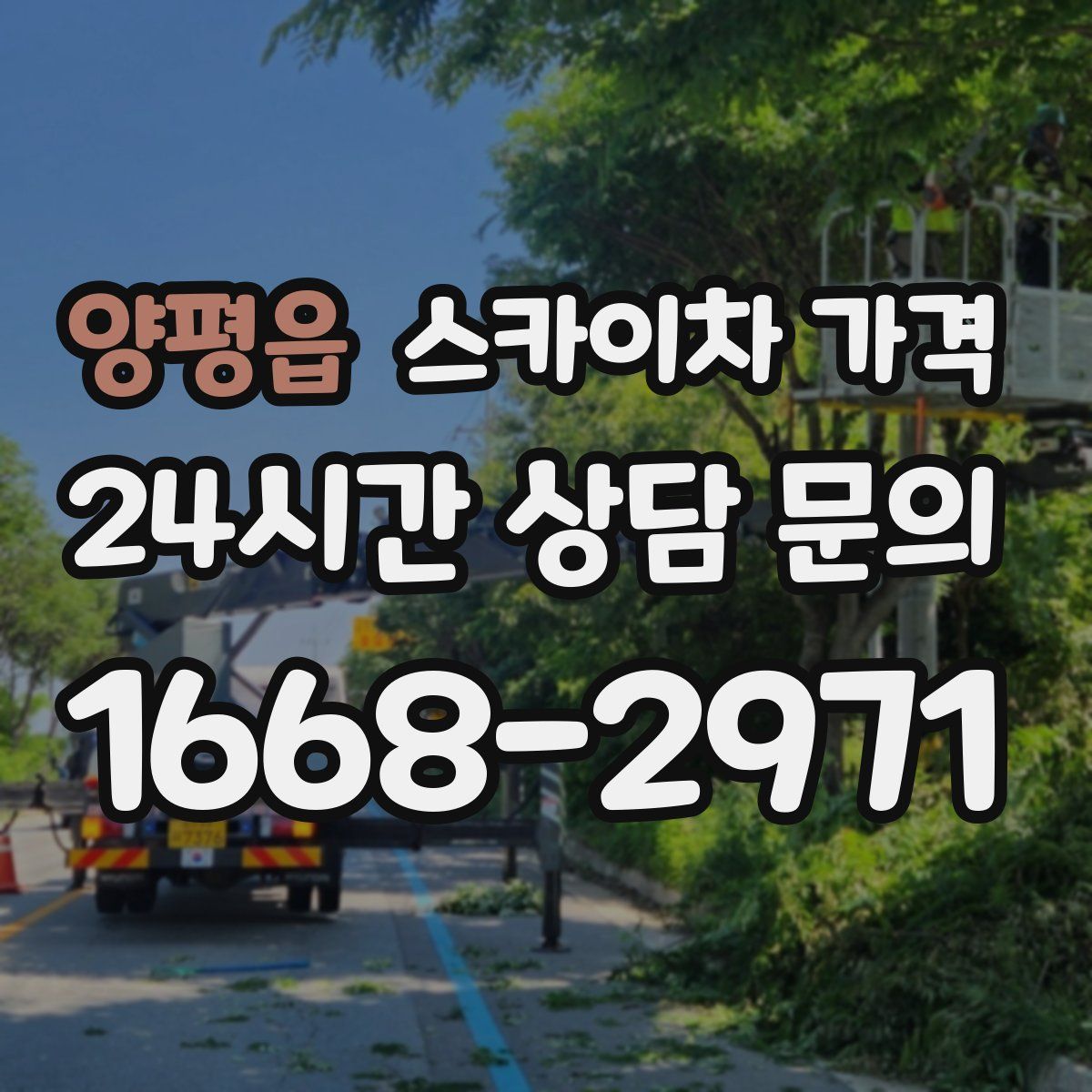 양평읍 스카이차 가격