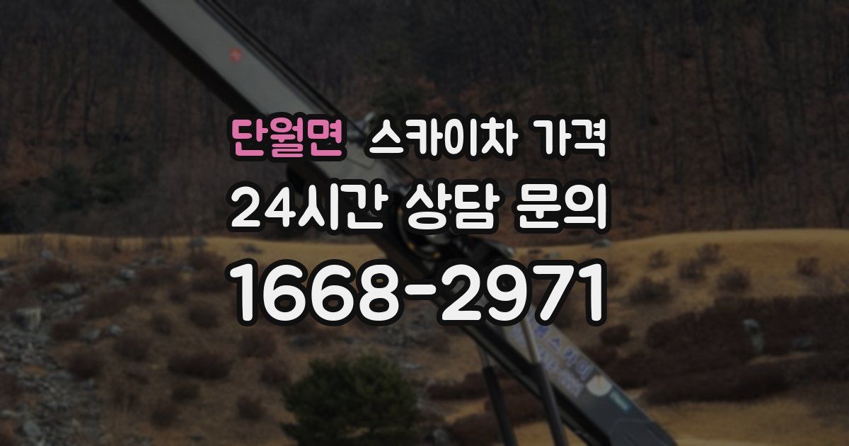 단월면 스카이차 가격